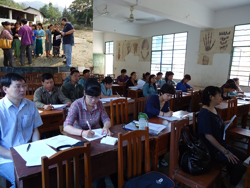 DSS and Cross-Sessional Study